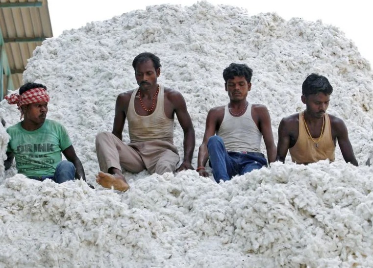 Cotton Duty Holiday: New Tailwind For India’s Textile Exporters