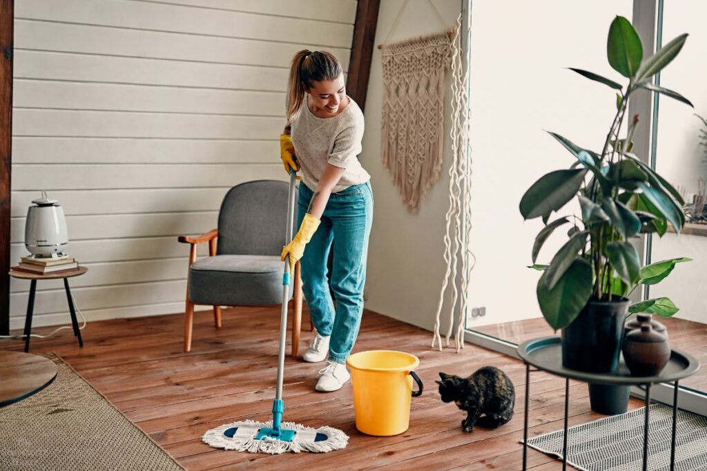 Swipe, Wipe, Done! The Ultimate Guide to Speedy Cleaning
