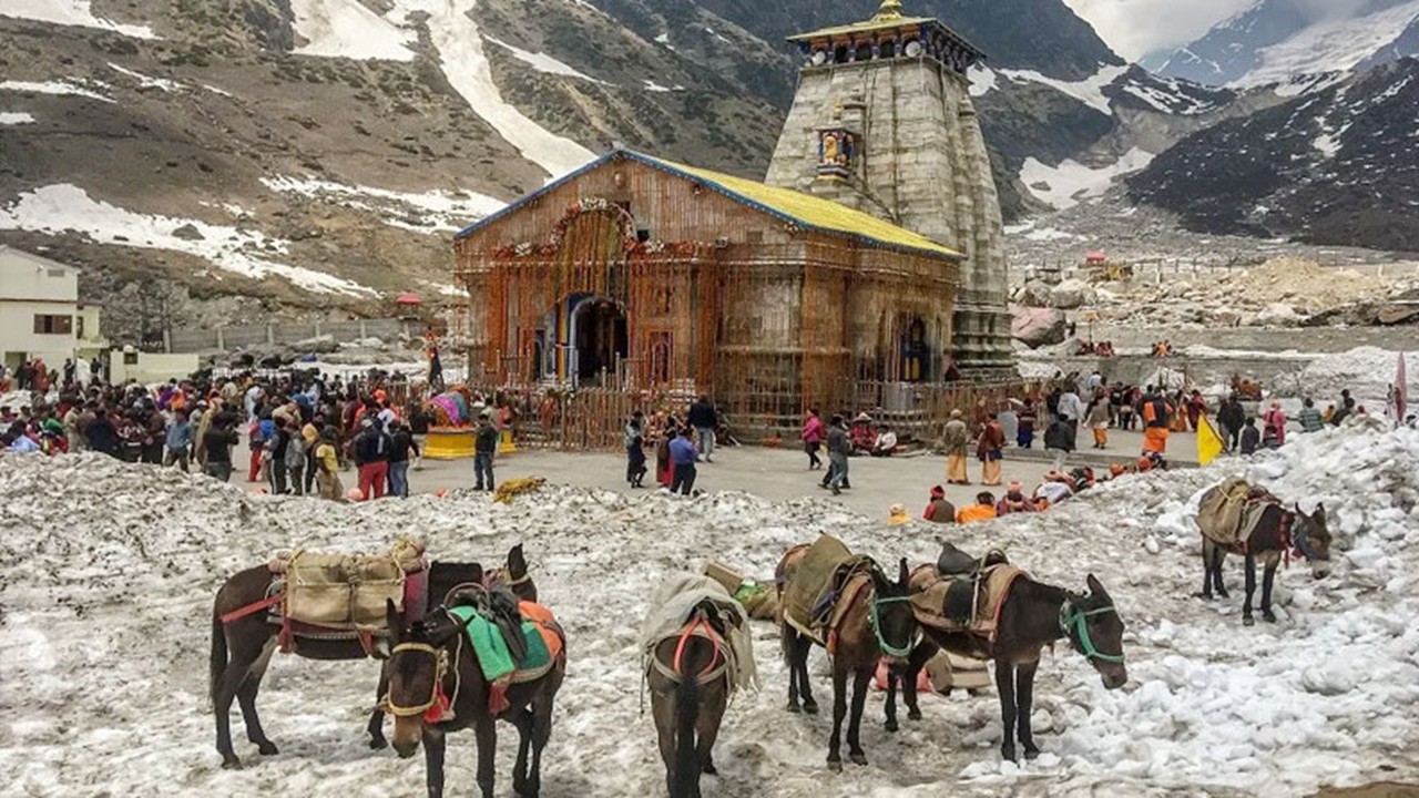 Uttarakhand to Fund Equine Insurance Premium for Char Dham Yatra