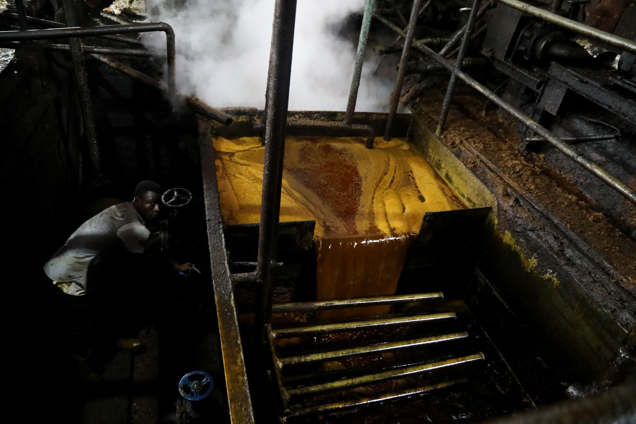 Palm Oil Prices Soar: Biodiesel Demand and Stalled Output Reshape Market