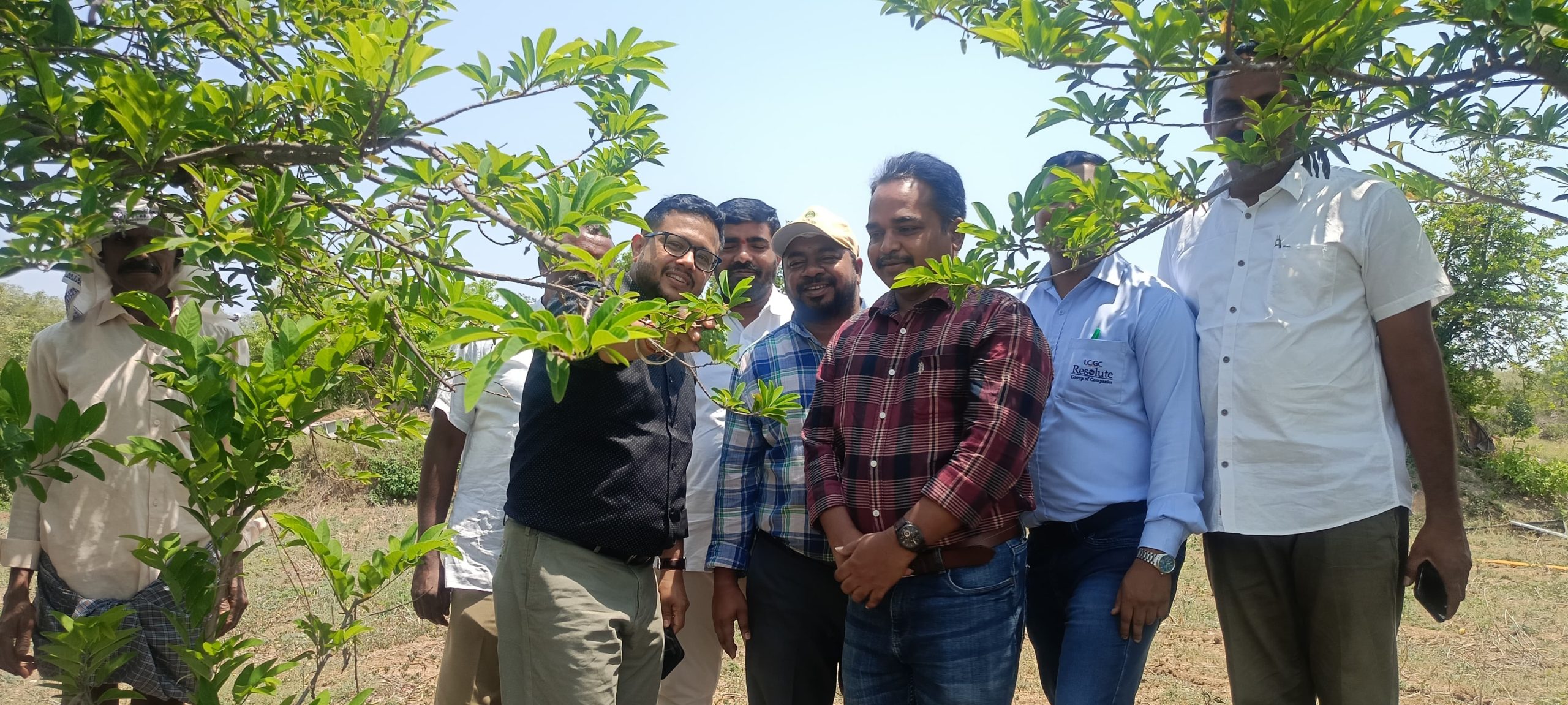 A-Peel-ing News: Balanagar Custard Apple Poised for GI Tag Sweetnes