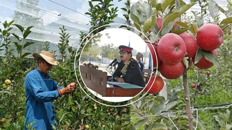 From Salutes to Soil: How Retd. Army Officer Divya Thakur is Leading the Organic Charge