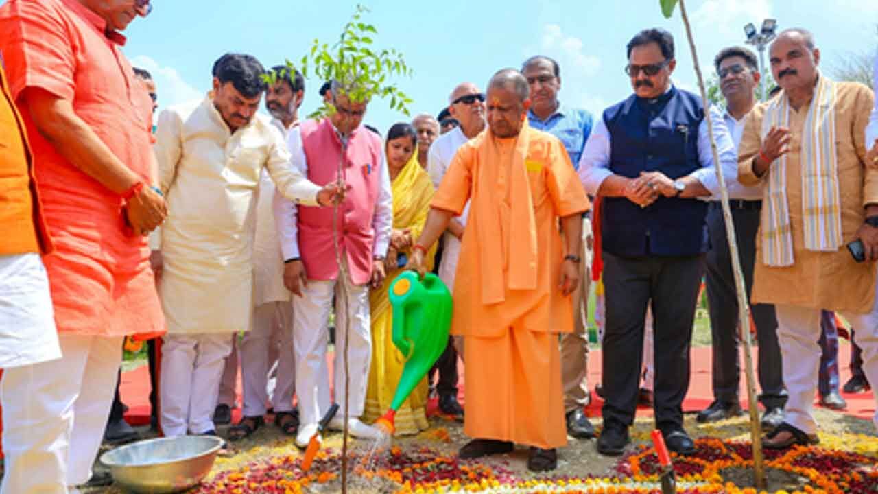 Green Goals in Action: Uttar Pradesh to Plant 15 Lakh Saplings During Seva Parv 2025