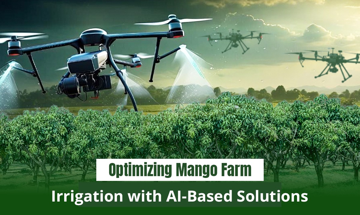 Drone Sweet Drone: Bengaluru’s Mango Farm Takes Off with AI Precision