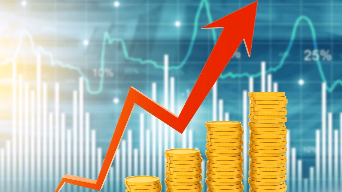 SG Mart Ltd Q4 Profit Rises to ₹331 Million, Approves ₹6 Billion Capex Plan for Capacity Expansion