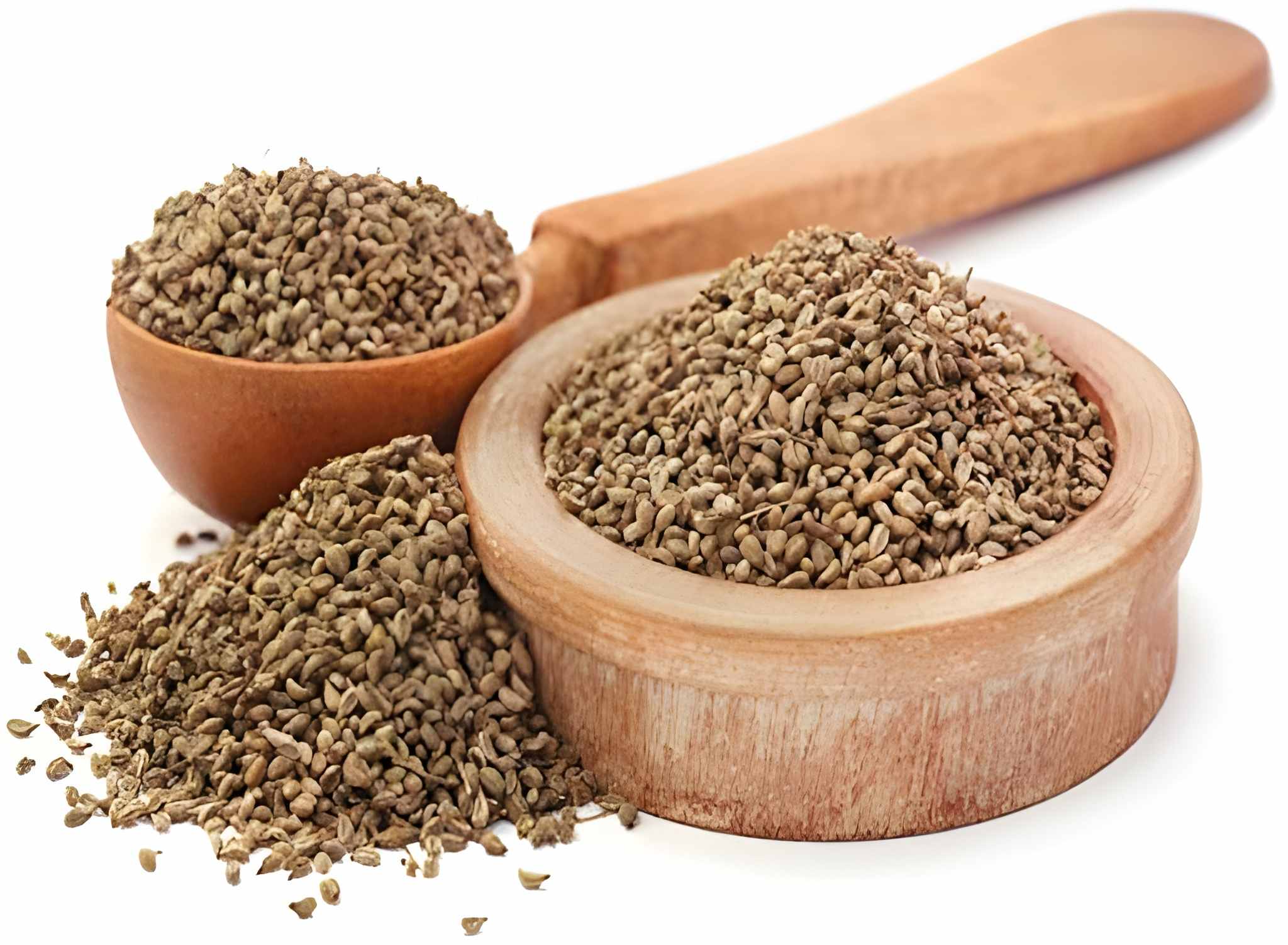 High-Thymol Culinary Spice Clinically Proven to Alleviate Respiratory Distress and Gastric Discomfort