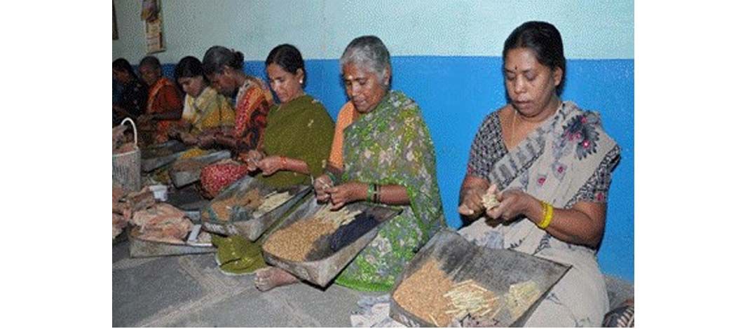 Power to the People: Labour Welfare Schemes Uplift 50 Lakh Strong Workforce