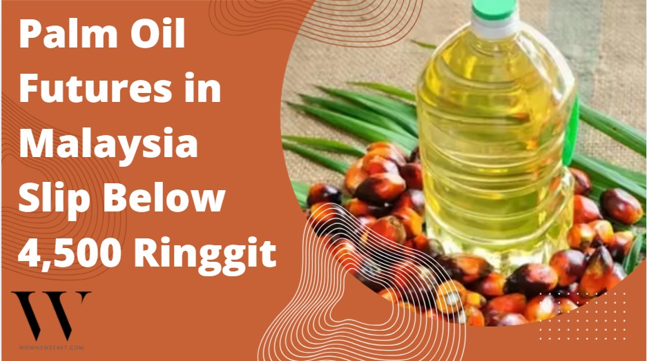 Malaysia’s Crude Palm Oil Contracts Drop 3.07%, Highlighting Global Trade Uncertainty