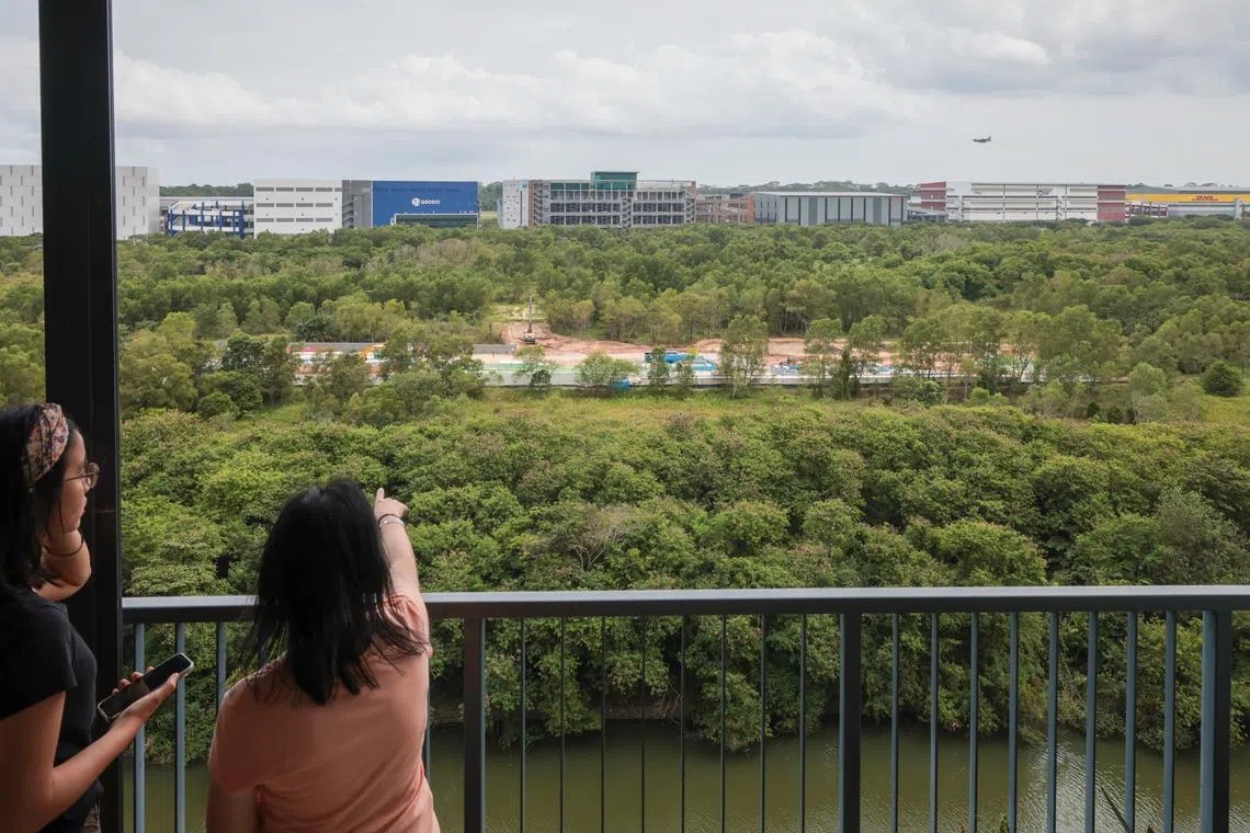 Singapore Rethinks Green Spaces As Nature Awareness Grows