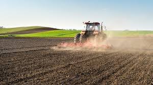 India's Agricultural Sector Set to Soar: Record Foodgrain Production and Strategic Initiatives for Pulses