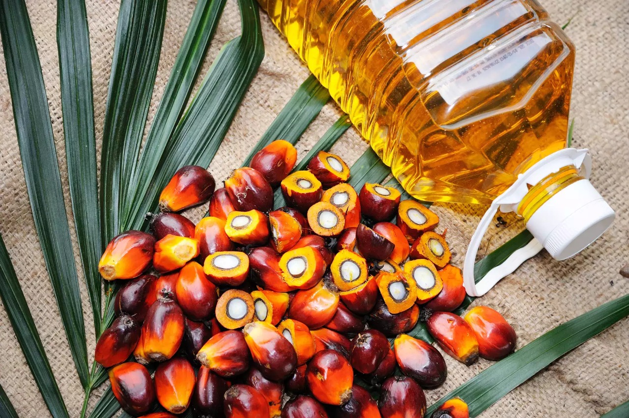 Palm Oil Market Teeters as Export Data Looms, Supply Concerns Persist