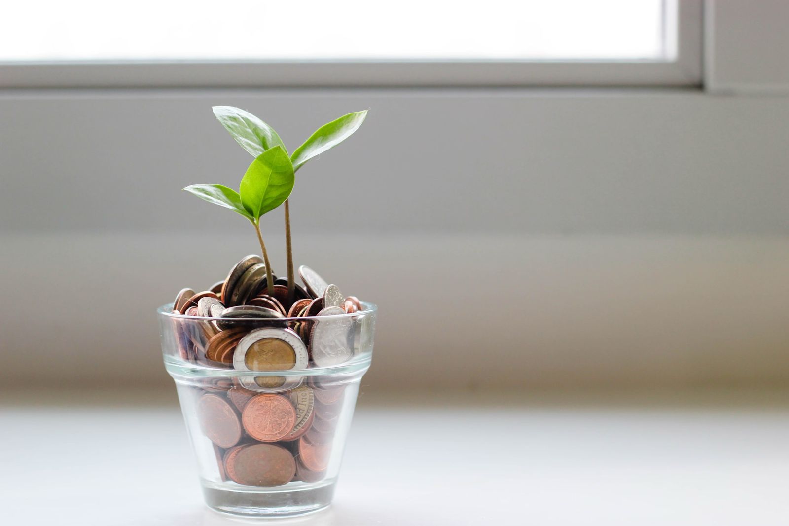 High-Octane Hybrid Funds: 5 Power Picks for June 2025