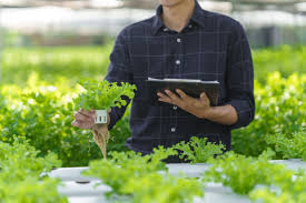 Hybrid Technology: Revolutionizing the Growth of Small Farmers and Better Food Security