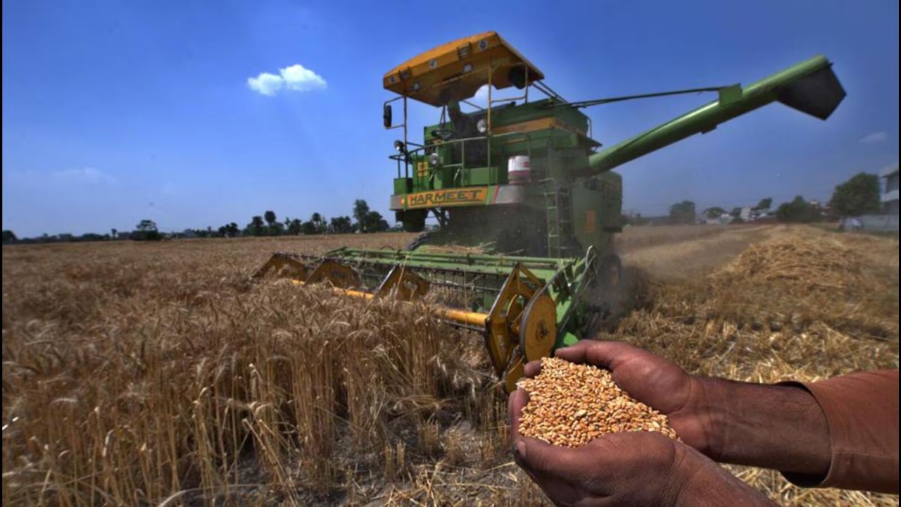More Subsidy, More Wheat: Haryana’s Big Move For Farmers’ Prosperity