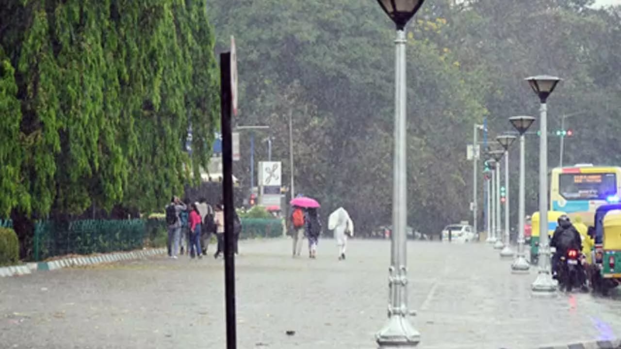 Chennai’s Heatwave Takes a Rain Check: Showers Turn Up the Cool Factor