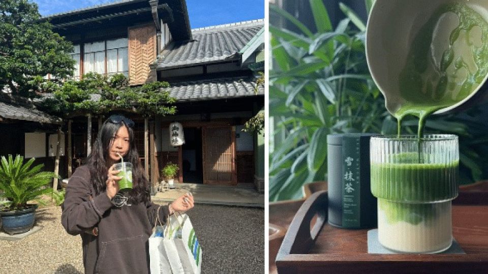 Brewing Up Success: Matchaya Takes Japanese Green Tea Worldwide!