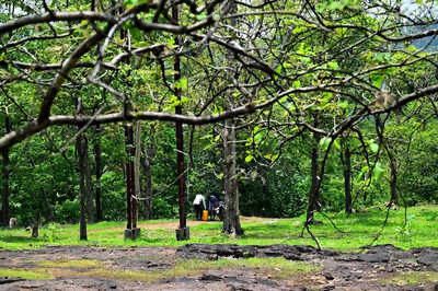 Rooted Again: 438 Trees Replanted at Bhandup Water Treatment Complex