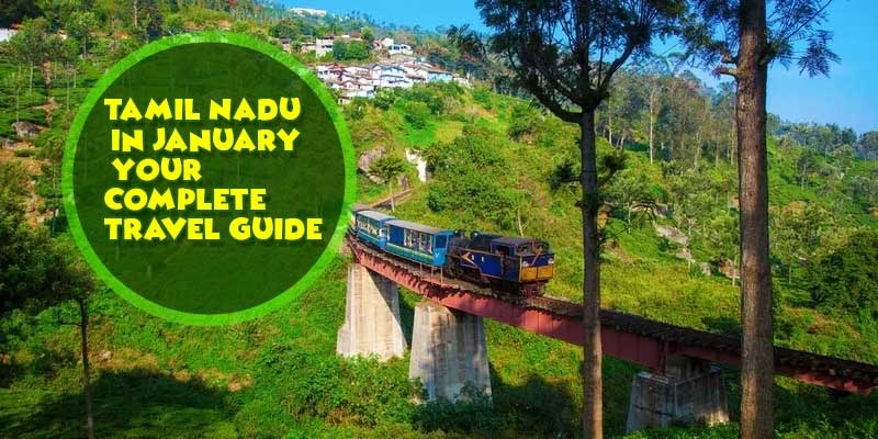 From Madurai to Ooty-Tamil Nadu’s January Bucket List