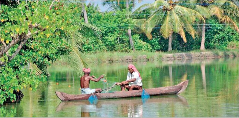 Breaking Borders: Kerala Emerges as Entry Hub for Sri Lankan Businesses