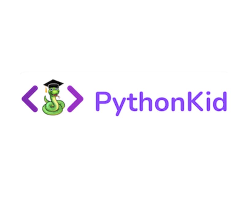 Double the Genius: Young Twin Brothers Unveil PythonKid.com, Revolutionizing Coding for Kids