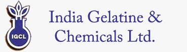 Leadership Transition: India Gelatine & Chemicals Names Valan Raja Nadar Chief Financial Officer