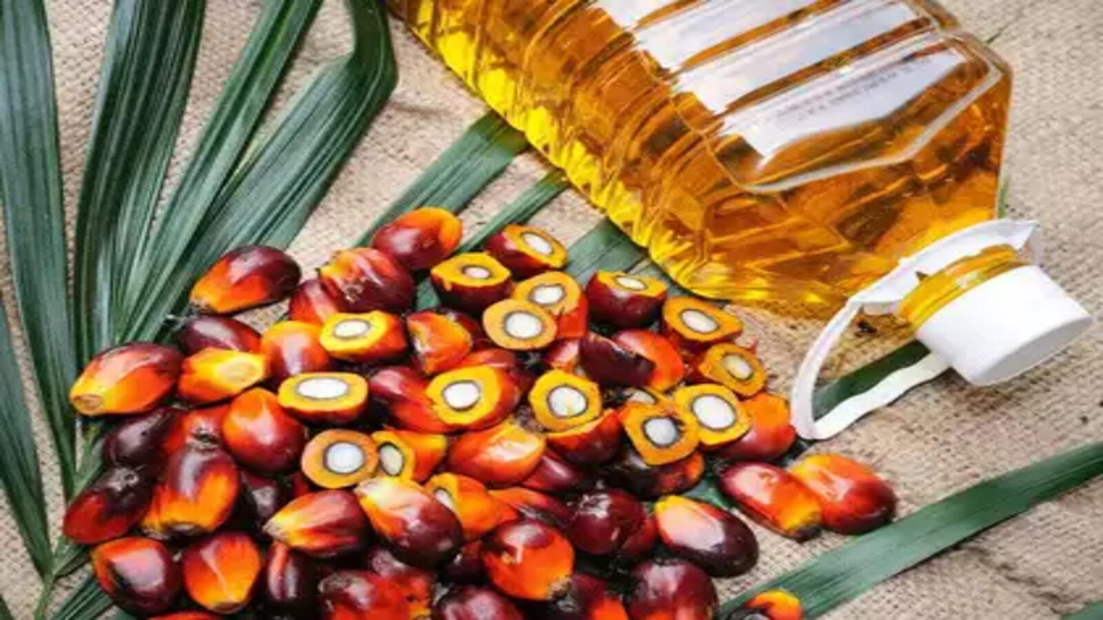 Palm Oil Plunges: The Hidden Impact of Trump’s Tariffs on Global Trade