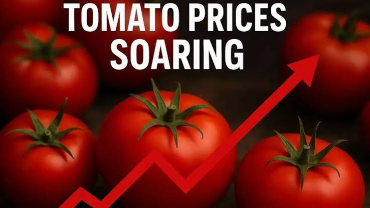 Tomato Prices Surge Across India as Heatwaves Damage Crops
