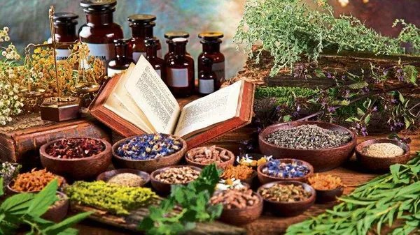 Ayurveda's Untapped Potential: Renowned Scientist Calls for Integration with Modern Medicine