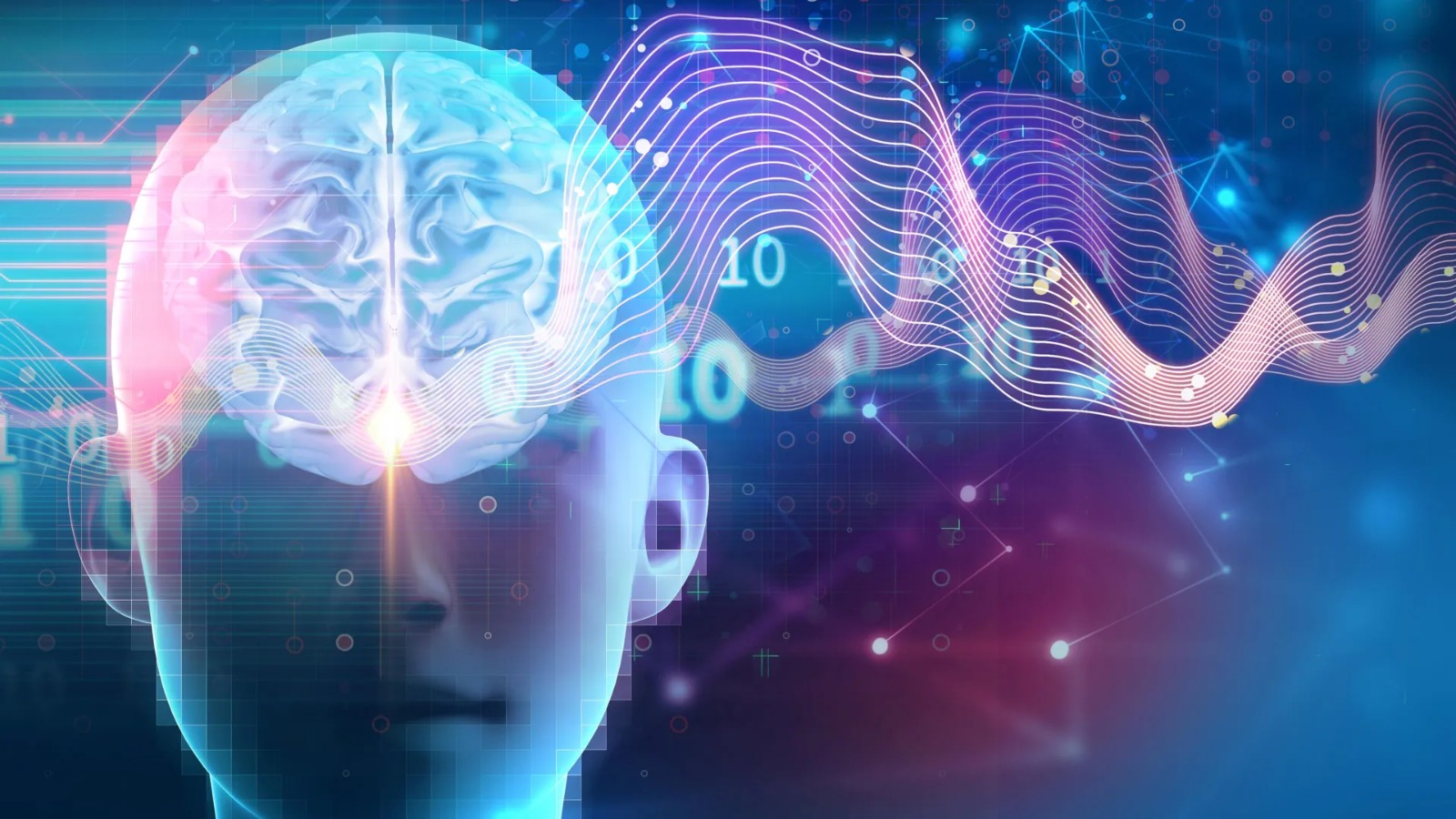 Sleep Switch Unlocked: The Brain’s Night Shift Button That Does It All