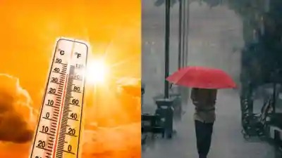 Thunder, Lightning, and Heat: MP’s Triple Threat This Week
